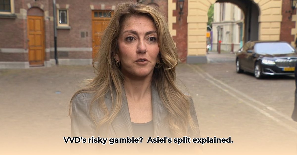 vvd-minister-asiel